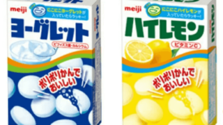 ヨーグレット